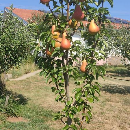 Hotel Cider&Squash, Grncarska 8, Prnjavor Batocina Bagian luar foto