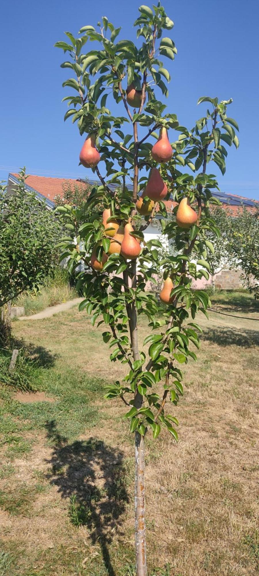 Hotel Cider&Squash, Grncarska 8, Prnjavor Batocina Bagian luar foto