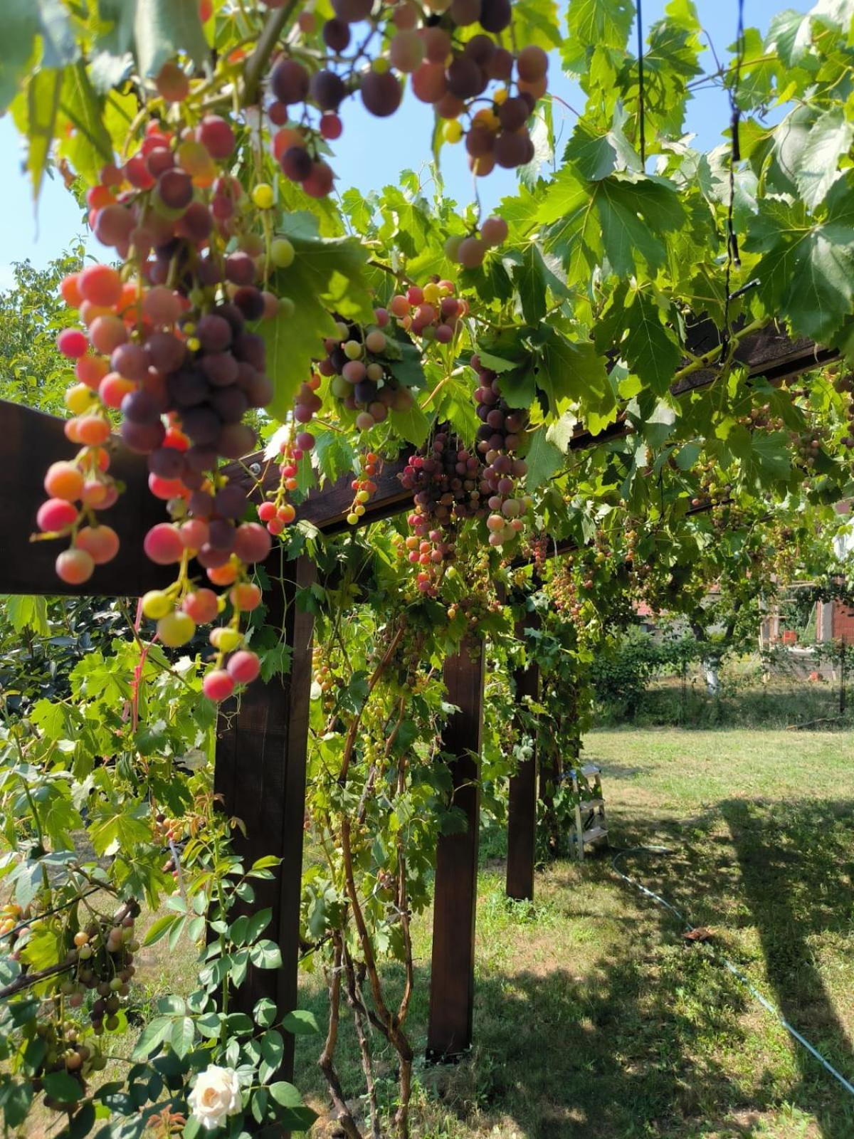 Hotel Cider&Squash, Grncarska 8, Prnjavor Batocina Bagian luar foto
